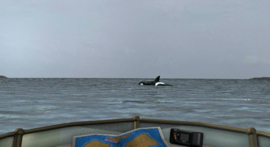 Orca