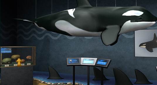 Whale Exhibit