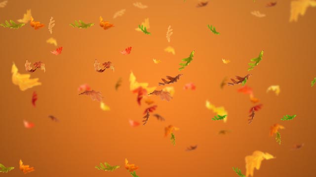 Happy Thanksgiving!
